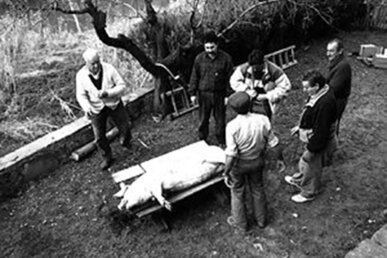 Comença la tasca de preparació dels aliments