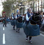 Àligues, falcons i cavallets