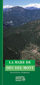 La Mare de Déu del Mont