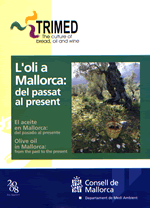 L'oli a Mallorca: del passat al present