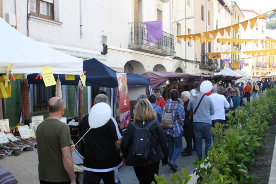 Firaires i stands d'entitats