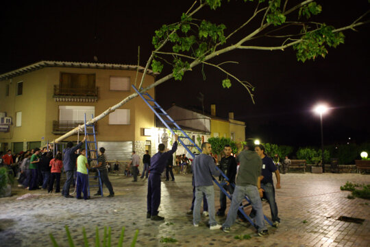 I es replanta a la plaça