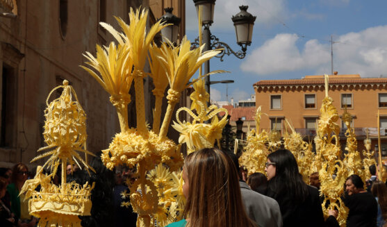 Diumenge de Rams a Elx