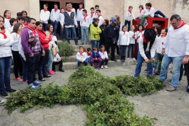 La creu de mata o murta