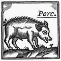 La matança del porc