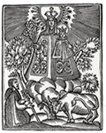 Festes de les Mares de Déu Trobades