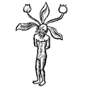 Herbes de les bruixes