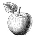 El farcit de pomes