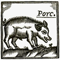 Porcs, truges i senglars