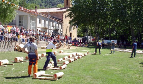 Tallada de Troncs de Vallfogona de Ripollès