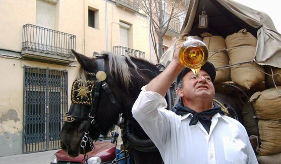 Festa dels Tonis de Manlleu